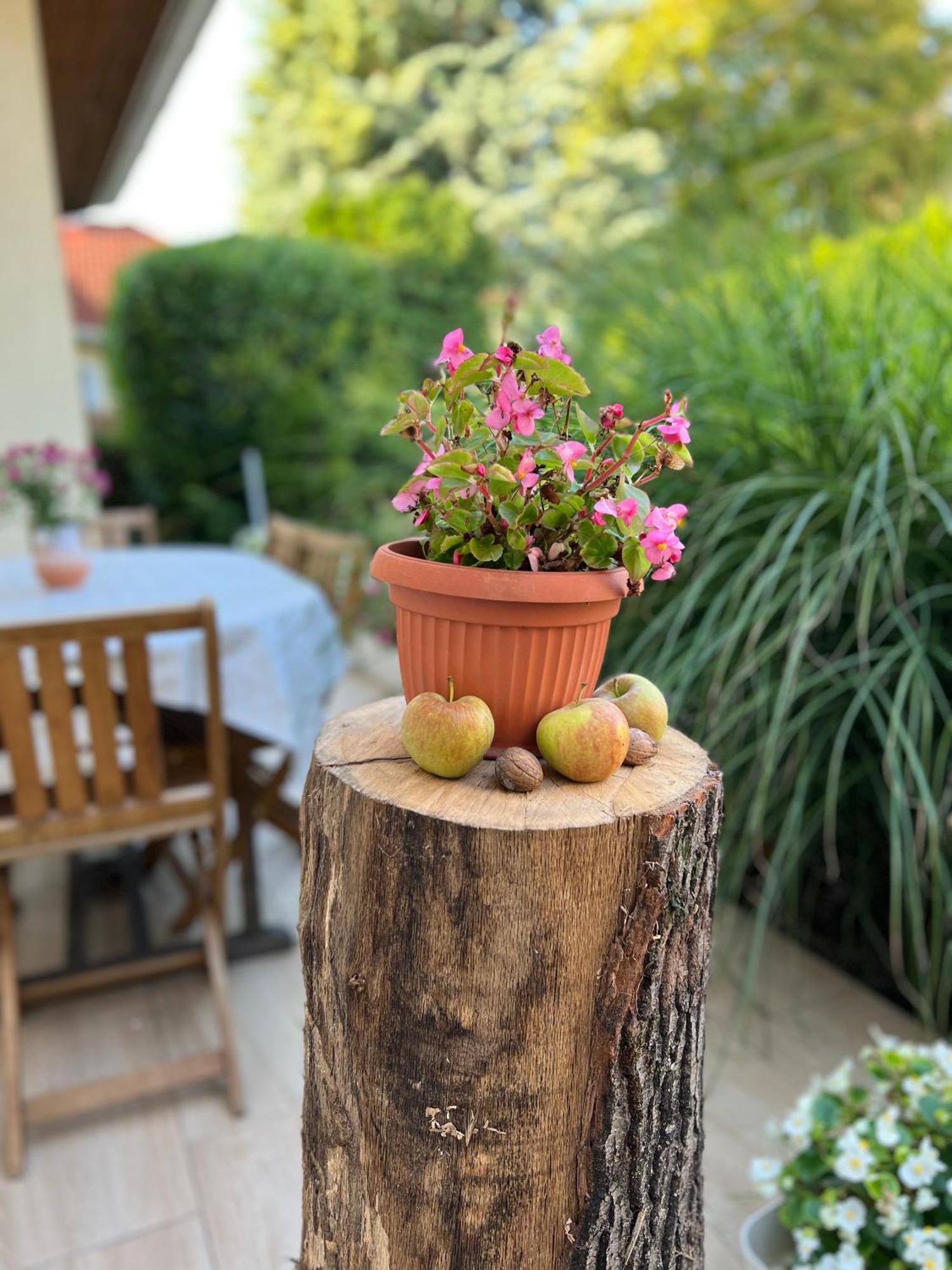 Villa Relax Apartman Gárdony Εξωτερικό φωτογραφία